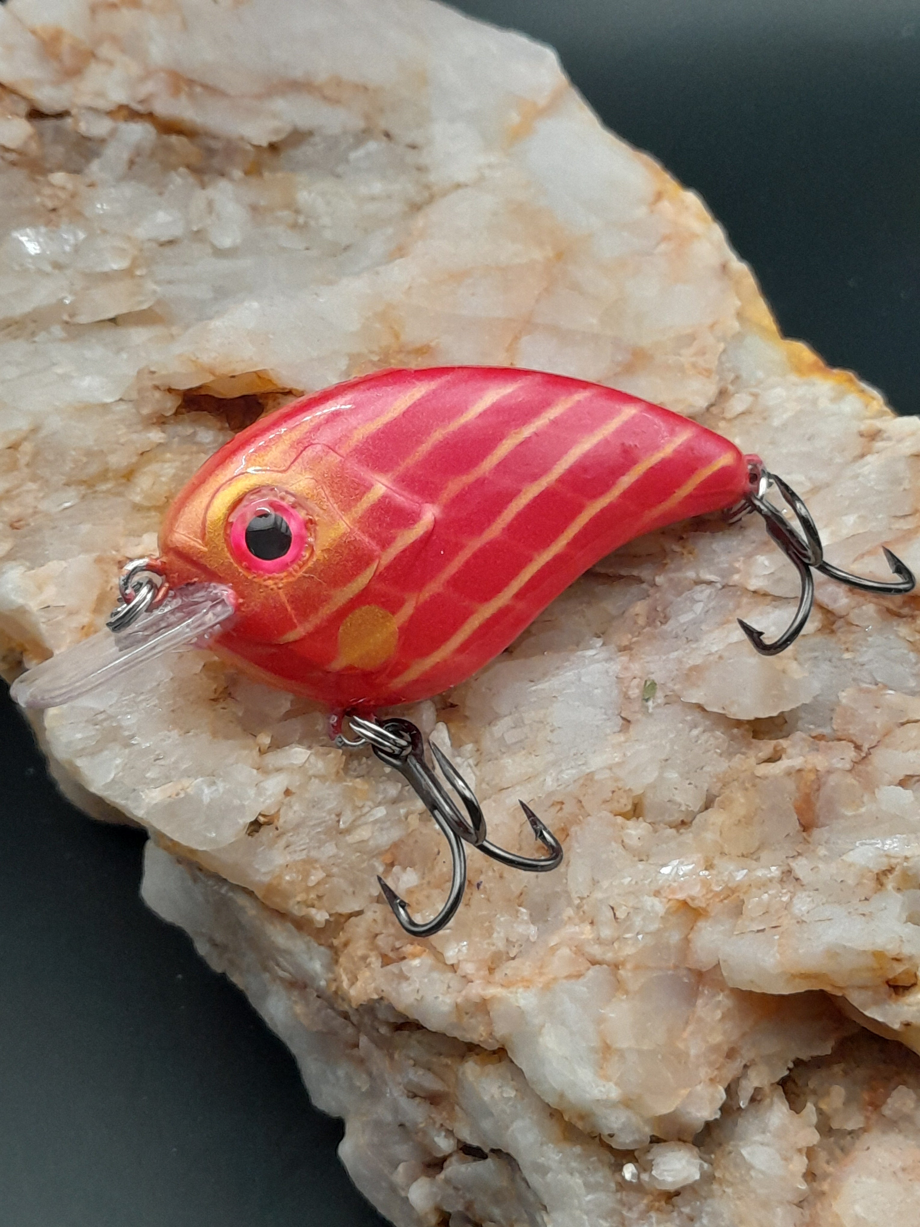 Limited Edition Dragon's Fortune PRO Series Crankbait