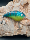 Standard Series - Citrus Shad