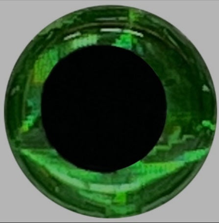 Standard Custom Body Custom Order