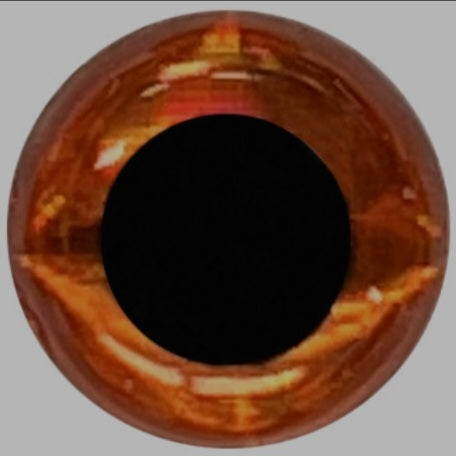 Standard Custom Body Custom Order