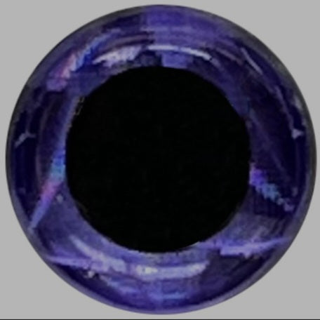 Standard Custom Body Custom Order