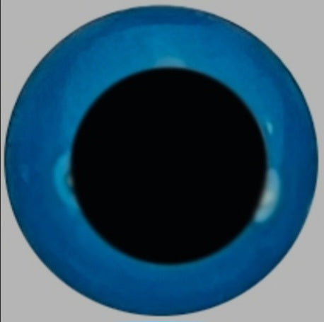 Standard Custom Body Custom Order