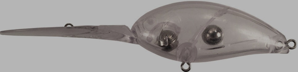 Standard Custom Body Custom Order