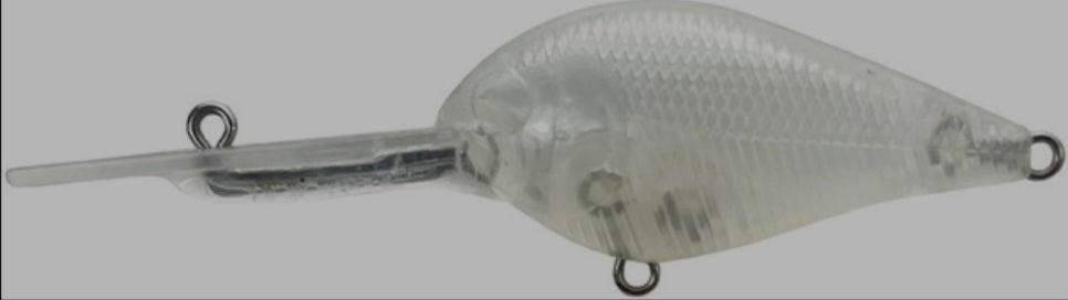 Standard Custom Body Custom Order