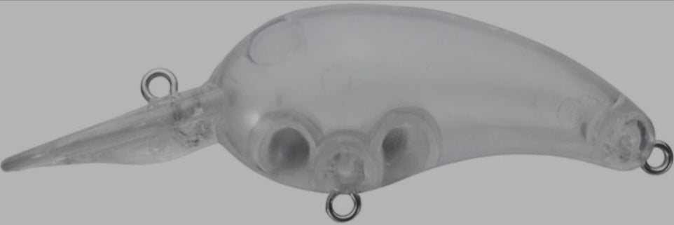 Standard Custom Body Custom Order